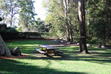 MelissaEdwards BotanicGardens 2011Aug28