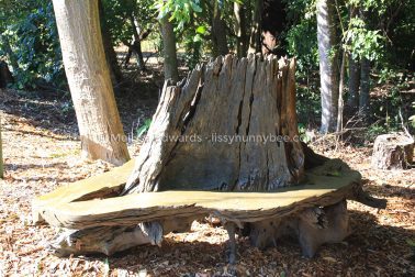 MelissaEdwards BotanicGardens 2011Aug28