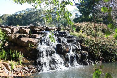 MelissaEdwards BotanicGardens 2011Aug28