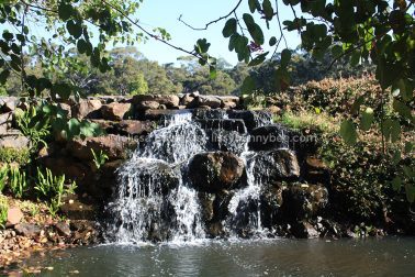 MelissaEdwards BotanicGardens 2011Aug28