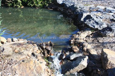 MelissaEdwards BotanicGardens 2011Aug28