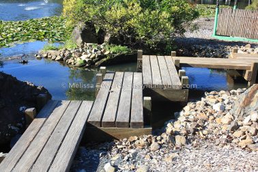 MelissaEdwards BotanicGardens 2011Aug28