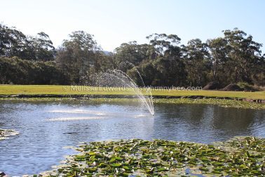 MelissaEdwards BotanicGardens 2011Aug28