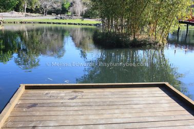 MelissaEdwards BotanicGardens 2011Aug28