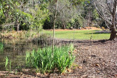 MelissaEdwards BotanicGardens 2011Aug28