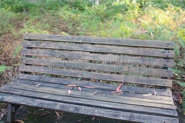 MelissaEdwards BotanicGardens 2011Aug28