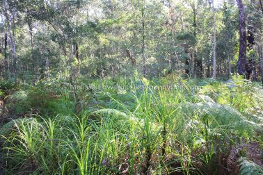 MelissaEdwards BotanicGardens 2011Aug28