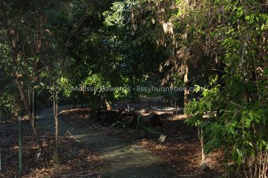 MelissaEdwards BotanicGardens 2011Aug28