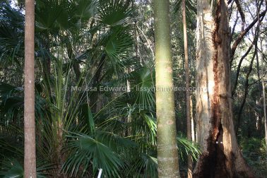 MelissaEdwards BotanicGardens 2011Aug28