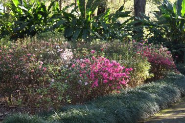 MelissaEdwards BotanicGardens 2011Aug28