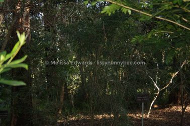 MelissaEdwards BotanicGardens 2011Aug28
