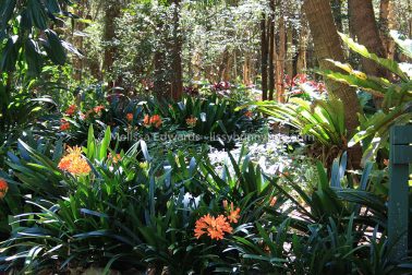 Melissaedwards botanicgardens 2011sept10 016