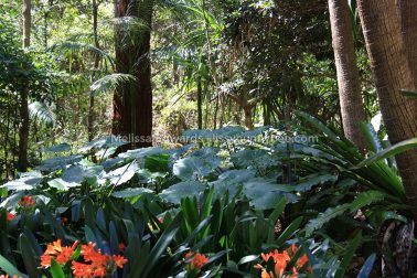 Melissaedwards botanicgardens 2011sept10 021