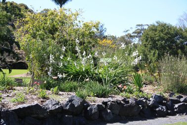 MelissaEdwards BotanicGardens 2011Sept11