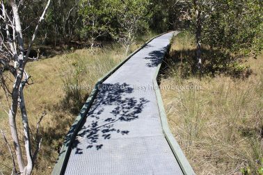 MelissaEdwards BotanicGardens 2011Sept11