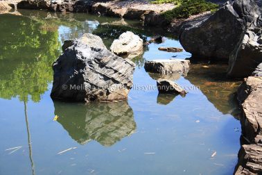 MelissaEdwards BotanicGardens 2011Sept11