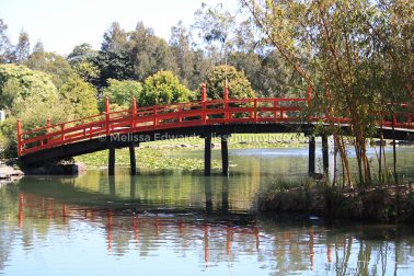 MelissaEdwards BotanicGardens 2011Sept11