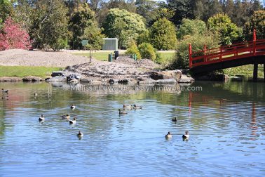 MelissaEdwards BotanicGardens 2011Sept11