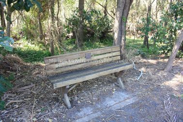 MelissaEdwards BotanicGardens 2011Sept11