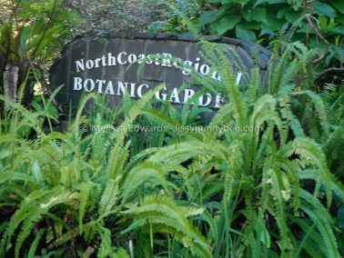Melissaedwards botanicgardens 2012july30 004