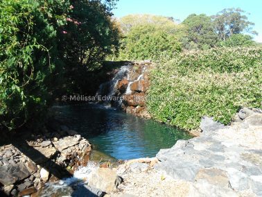 Melissaedwards botanicgardens 2012july30 042