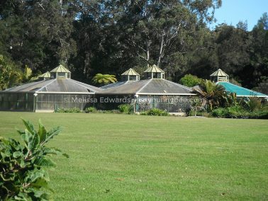 Melissaedwards botanicgardens 2012july30 044