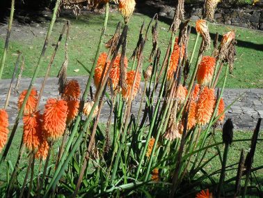 Melissaedwards botanicgardens 2012july30 055