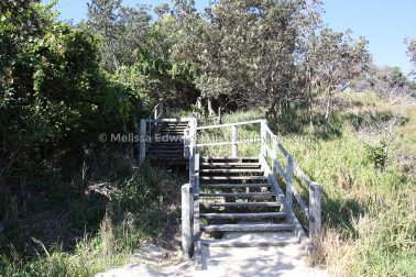 MelissaEdwards DiggersBeach MacauleysHeadland June2020