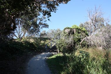 MelissaEdwards DiggersBeach MacauleysHeadland June2020