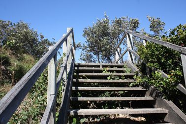 MelissaEdwards DiggersBeach MacauleysHeadland June2020