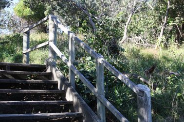 MelissaEdwards DiggersBeach MacauleysHeadland June2020