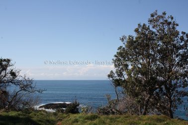 MelissaEdwards DiggersBeach MacauleysHeadland June2020