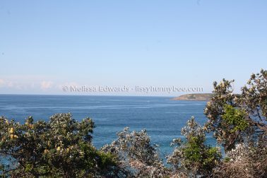 MelissaEdwards DiggersBeach MacauleysHeadland June2020