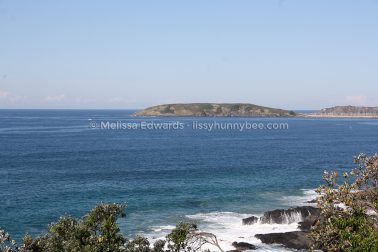 MelissaEdwards DiggersBeach MacauleysHeadland June2020