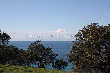 MelissaEdwards DiggersBeach MacauleysHeadland June2020