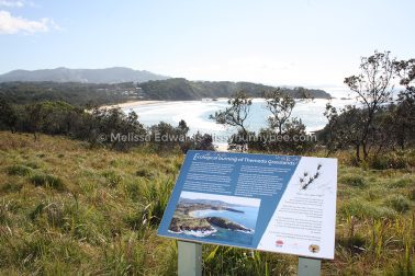 MelissaEdwards DiggersBeach MacauleysHeadland June2020