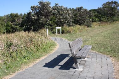 MelissaEdwards DiggersBeach MacauleysHeadland June2020