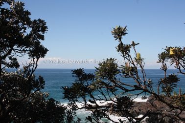 MelissaEdwards DiggersBeach MacauleysHeadland June2020