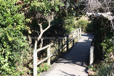 MelissaEdwards DiggersBeach MacauleysHeadland June2020