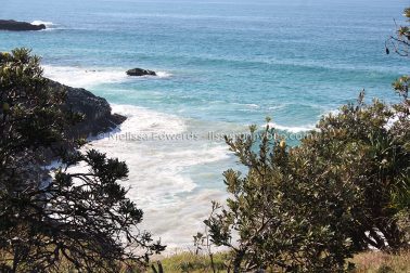 MelissaEdwards DiggersBeach MacauleysHeadland June2020