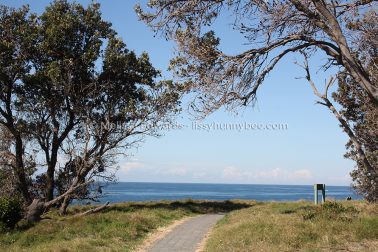 MelissaEdwards DiggersBeach MacauleysHeadland June2020