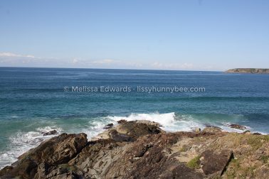 MelissaEdwards DiggersBeach MacauleysHeadland June2020