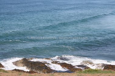 MelissaEdwards DiggersBeach MacauleysHeadland June2020