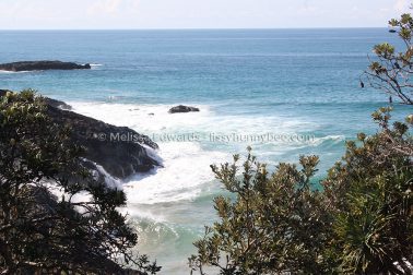 MelissaEdwards DiggersBeach MacauleysHeadland June2020