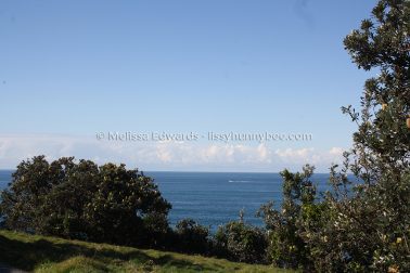 MelissaEdwards DiggersBeach MacauleysHeadland June2020