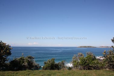 MelissaEdwards DiggersBeach MacauleysHeadland June2020