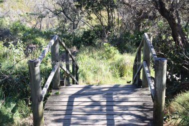 MelissaEdwards DiggersBeach MacauleysHeadland June2020