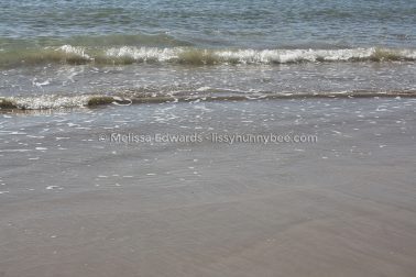 MelissaEdwards DiggersBeach MacauleysHeadland June2020