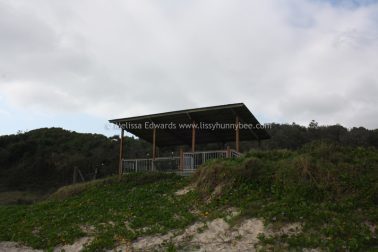 Melissaedwards diggersbeach 23nov2015 04