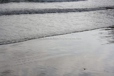Melissaedwards diggersbeach 23nov2015 05